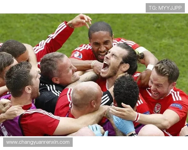 威尔士与斯洛伐克精彩对决回放分析与赛后点评